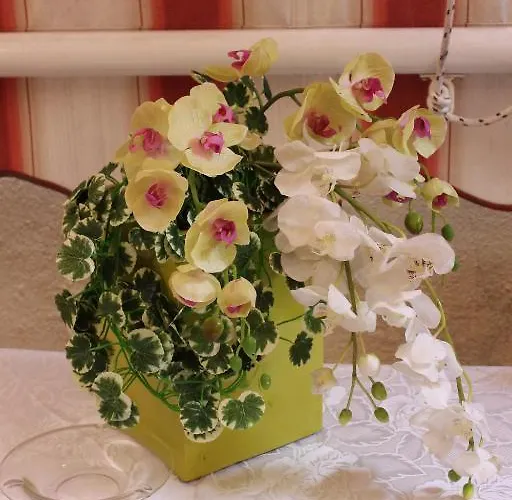 Апартаменты Nel Sole *